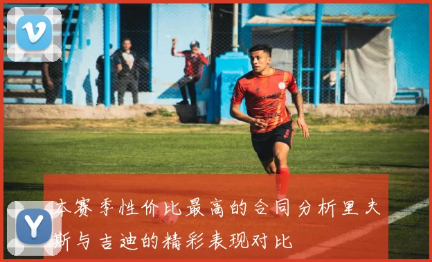 本赛季性价比最高的合同分析里夫斯与吉迪的精彩表现对比
