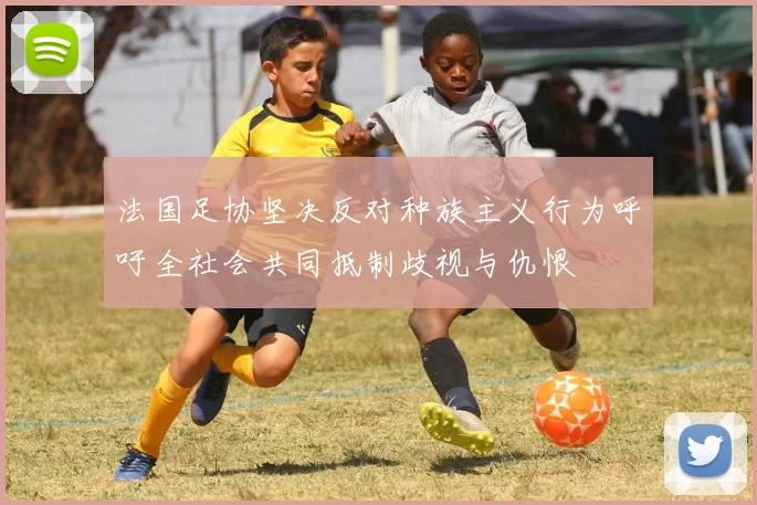 法国足协坚决反对种族主义行为呼吁全社会共同抵制歧视与仇恨